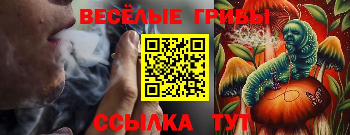 Галлюциногенные грибы мухоморы Елабуга